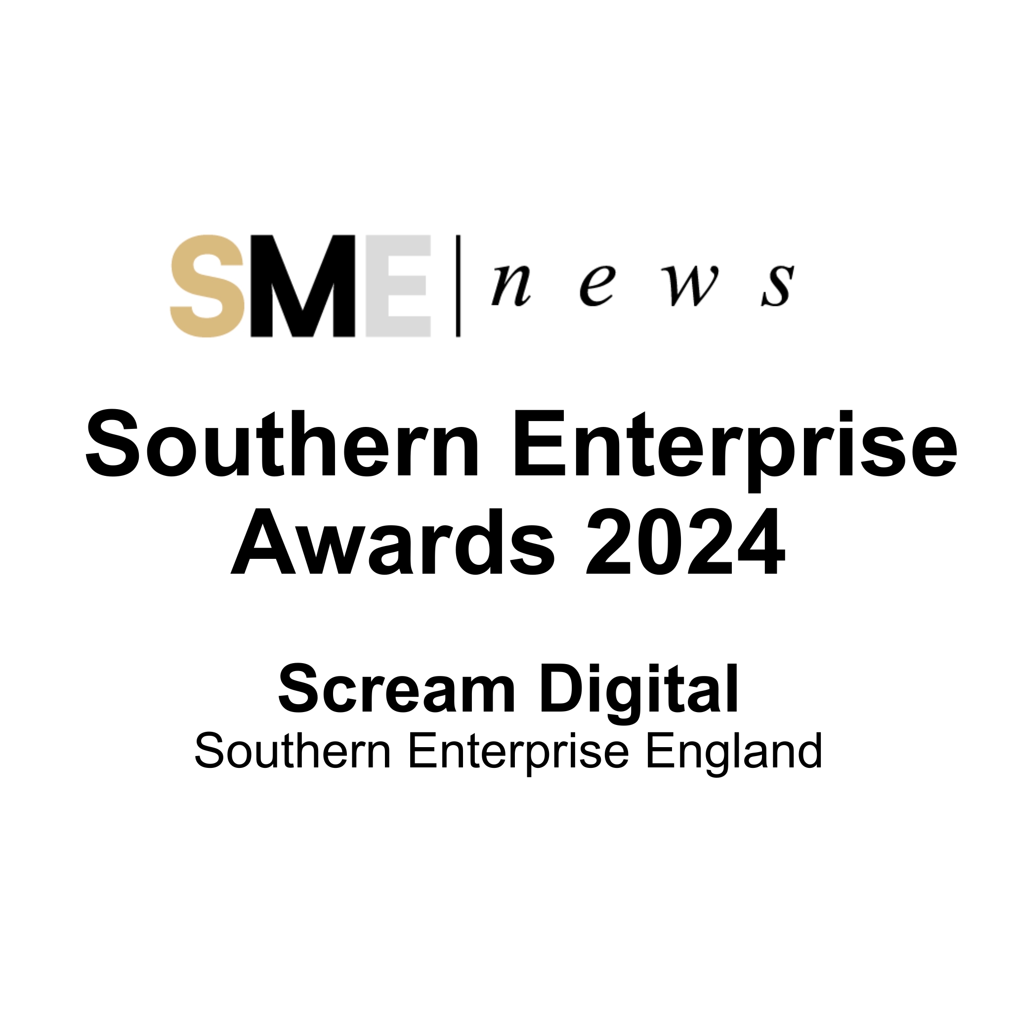 Southern Enterprise Awards 2024 — SME News